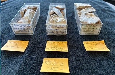Vorgeschichte Konvolut 1 - Magdalenische geschnitzte Feuersteine - Vorkommen Große Berge V, Nemours