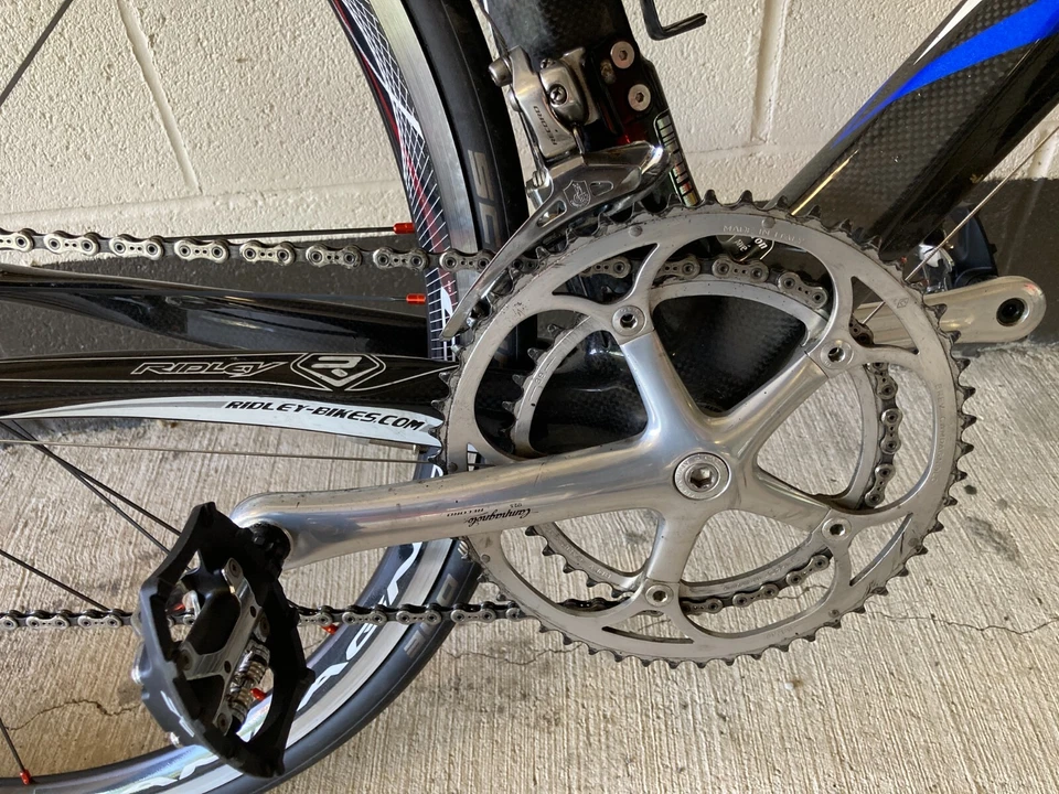 noah ridley regeneración integral Foto 3 de 4