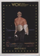 1991 Championship Marketing WCW Sting #54