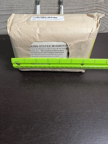 King Blue Oyster Mushroom Grow Kit (Pleurotus Hybrid) Free Shipping - Picture 6 of 7