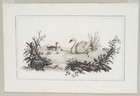Foto 2 di 5
