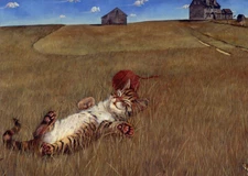 Tree-Free Greetings Fantastic Dreams  Cat Sleeping in Field Birthday Card