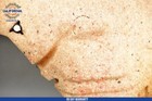 Bild 19 von 22