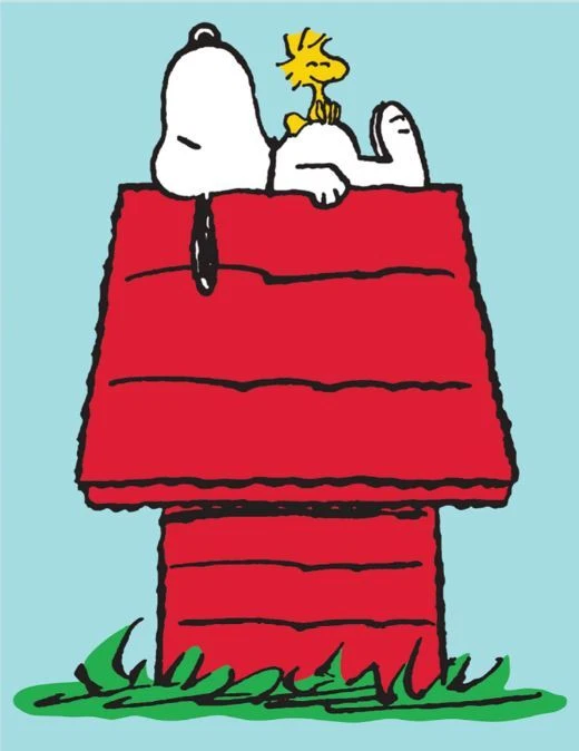 US Blechschilder Peanuts Snoopy Charlie Brown Joe Cool Woodstock etc.