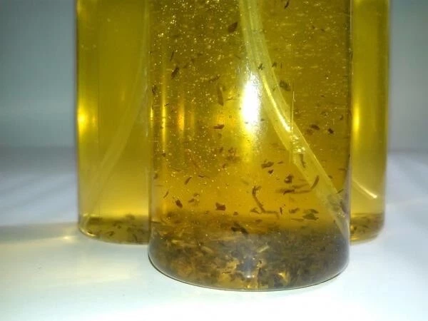 Miracle Drop Hair Growth oil serum extra strength fast results all natural - Image 4 of 4