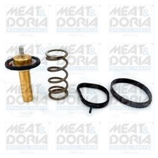 Thermostat Volvo 265