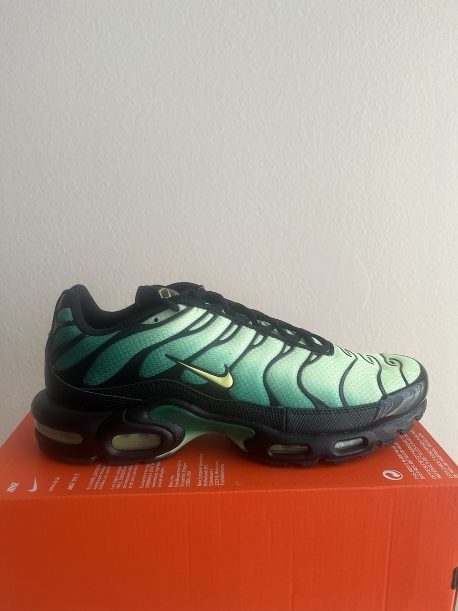 Size 11.5 - Nike Air Max Plus Vapor Green Gradient | eBay display picture 1
