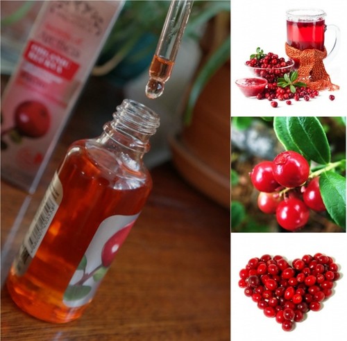 arctic cranberry seed oil face skin care organic klukva anti