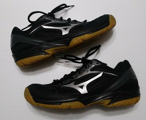 indoor athletic shoes