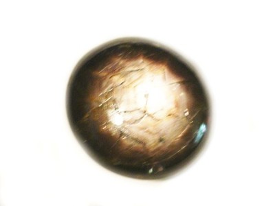 Natural Sri Lanka Star Sapphire 8.04 Ct 12 Ray Earth Mined Loose Gemstone