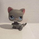 Littlest Pet Shop Cat Kitten # 74 Grey Gray Blue Eyes Raised Paw Up Short Hair