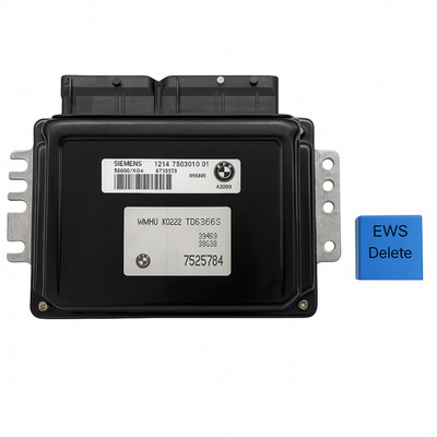 R53/R50 Mini Cooper  EWS Delete Service - Fully Plug and Play with Delete Module