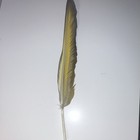 Blue & Yellow Natural Craft Feathers Mixed Lot for DIY Crafts, Decorations — photo 2