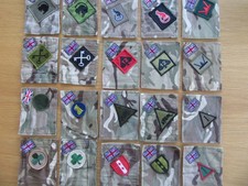 UK Forces badged up MTP TRF 'Blanking panels'. Mixed Brigades / Divisional.