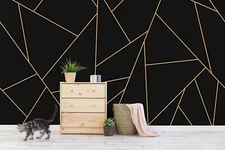 3D Lines Geometry Graphic Wallpaper Wall Murals Removable Wallpaper