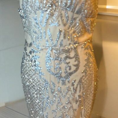 Custom Glitter Silver /Nude Gown S 35 bust 30 waist 36 hips