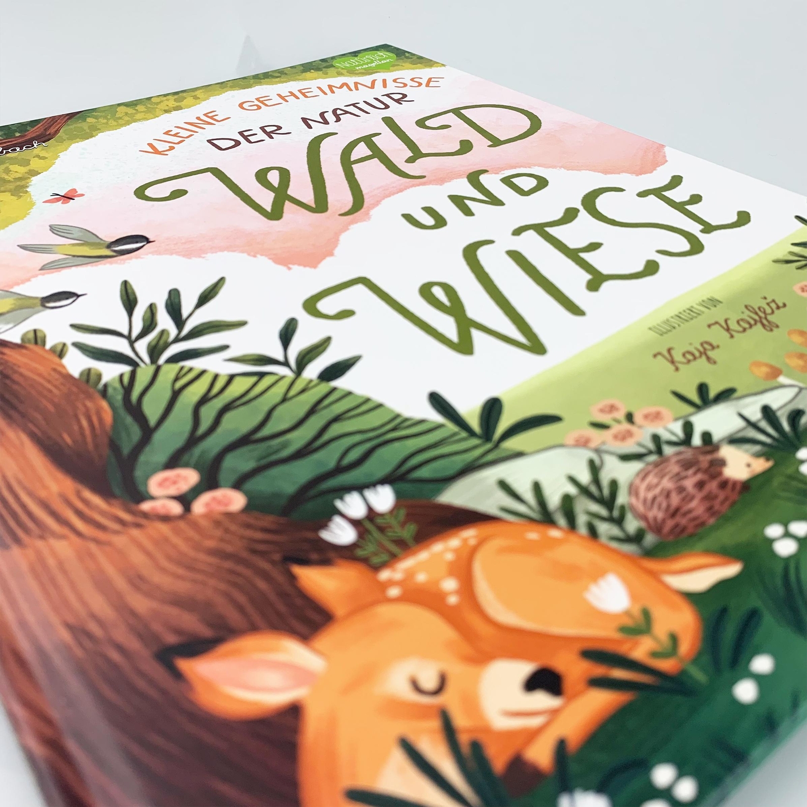 Thumbnail - Annett Stütze Kleine Geheimnisse Der Natur - Wald Und Wiese