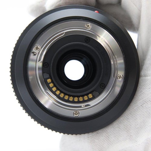 Panasonic LUMIX G VARIO 45-200mm F/4.0-5.6 II POWER O.I.S. #554 - Picture 6 of 12