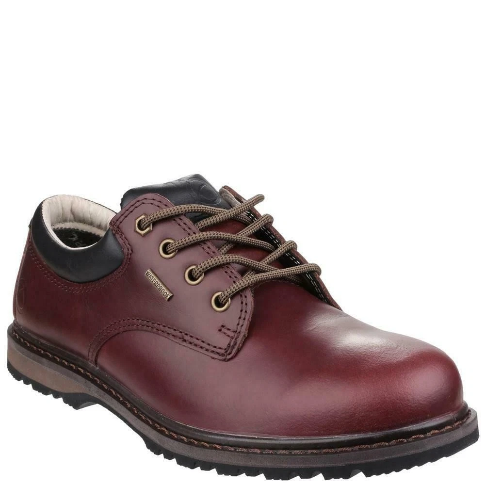 Cotswold Stonesfield Mens Chestnut Waterproof Leather Hiking Walking Shoes
Opens in a new window or
