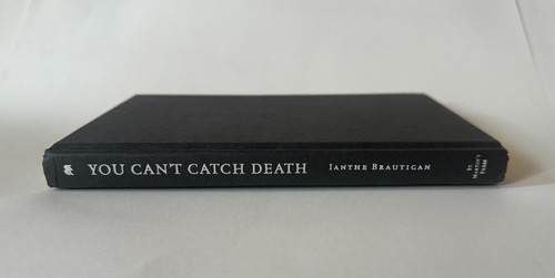 IANTHE BRAUTIGAN You Can't Catch Death: A Daughter's Memoir | 2000 Hardcover - Bild 10 von 10