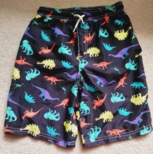 Boys Large 10 Swim Trunks Swimsuit DINO Board Shorts Bathing Suit