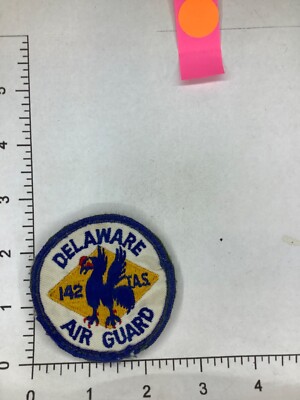 VINTAGE USAF 142nd TAS DELAWARE ANG SQUADRON PATCH
