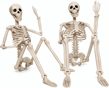 2 Pack 36" Halloween Skeleton, Life Size Full Body Posable Skeleton Outdoor