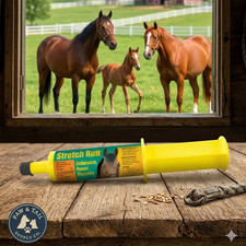 Stretch Run Horse Energy Supplement Better Endurance Power  Recovery 2oz USA