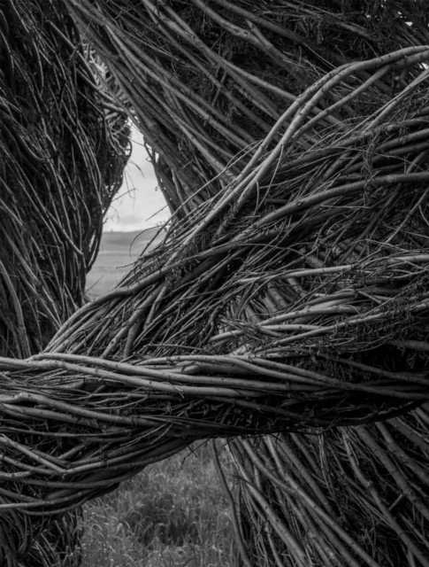 Patrick Dougherty James Florio Sticks - Image 3