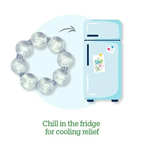 MORDEDOR REFRESCANTE BROTES VERDES (2PK) CALMA LAS ENCÍAS PROMUEVE LA SALUD ORAL TRANSPARENTE Foto 3 de 4