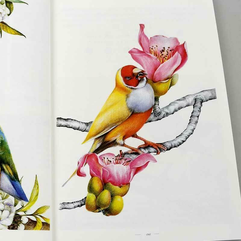 Drawing Birds With Colored Pencils