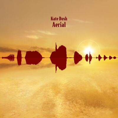 Aerial Fish People Edition