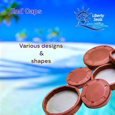 END CAPS - OIL SEALS,  TCM 108719-BX,  67108719,  ''EVERY SEAL IN THE WORLD''