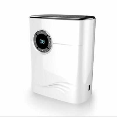 Mini Home Mute Air Dehumidifier Bedroom Sterilization Dryer Moisture Absorber