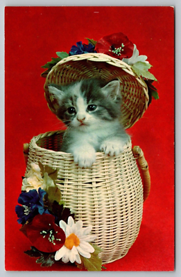 Postcard Cute Kitten Cat in a Basket of Flowers with Red Background