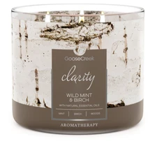 Goose Creek Clarity Wild Mint & Birch Aromatherapy 3 Wick Candle - 14.5 oz NEW!