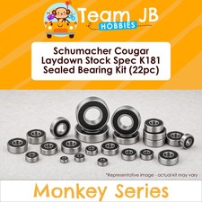 Schumacher Cougar Laydown Stock Spec K181 - 22 Pcs Rubber Sealed Bearings Kit