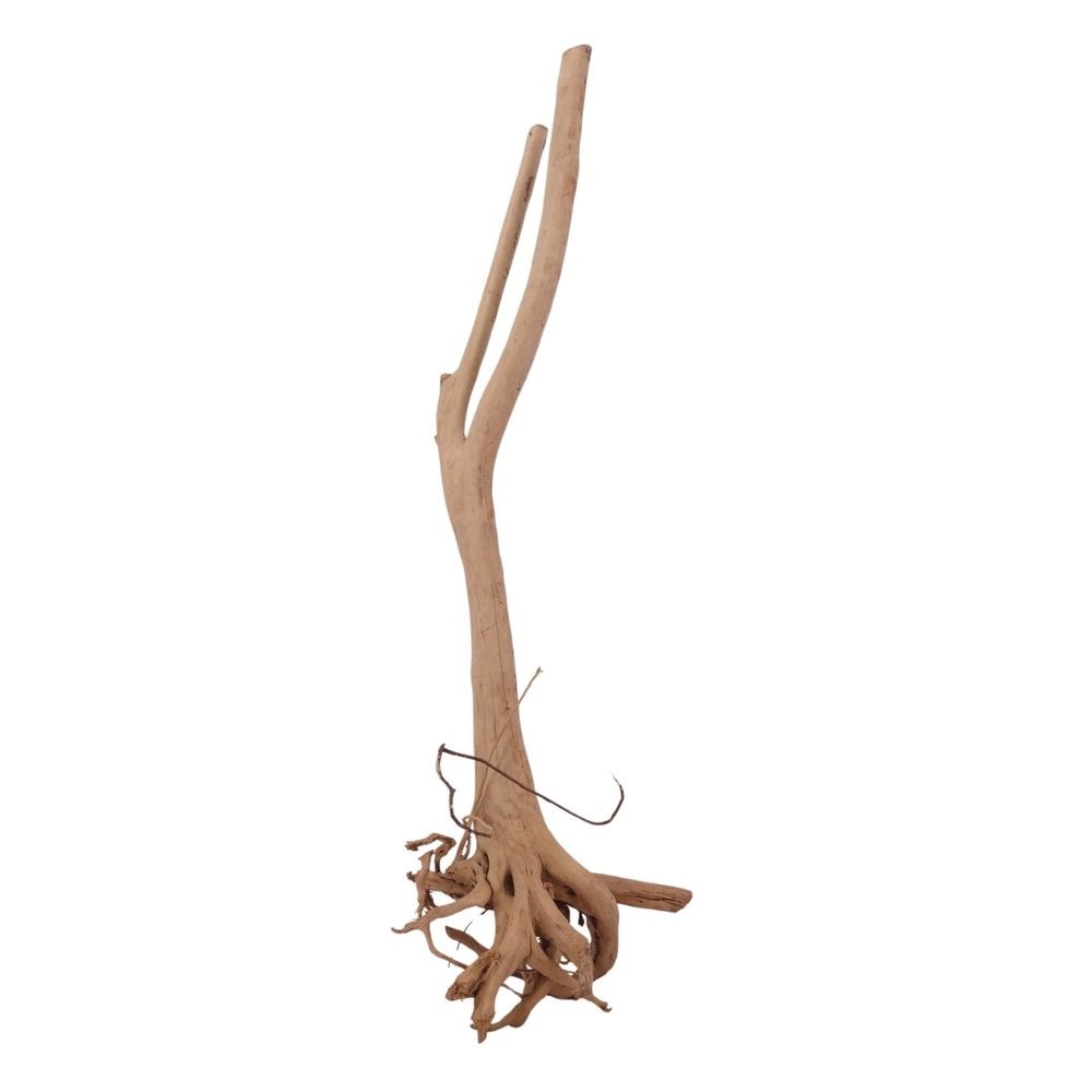 Radice Acquario Ceppo Decorativo Radice L Aquascaping Natura Delle Mangrovie