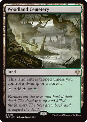 x1 Woodland Cemetery R MTG Commander: Lorwyn Eclipsed M/NM, English