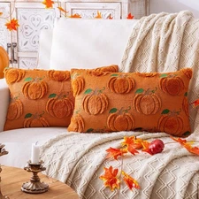 AQOTHES Fall Pumpkin Rust Throw Pillow 12" x 20" Pack of 2 Autumn Embroidery Dec