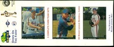 1991 Classic Best Down on the Farm Minor League 3 Team Sets: New York Mets