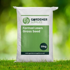 Premium Fine Formal Luxury Grass Seed Rye Free