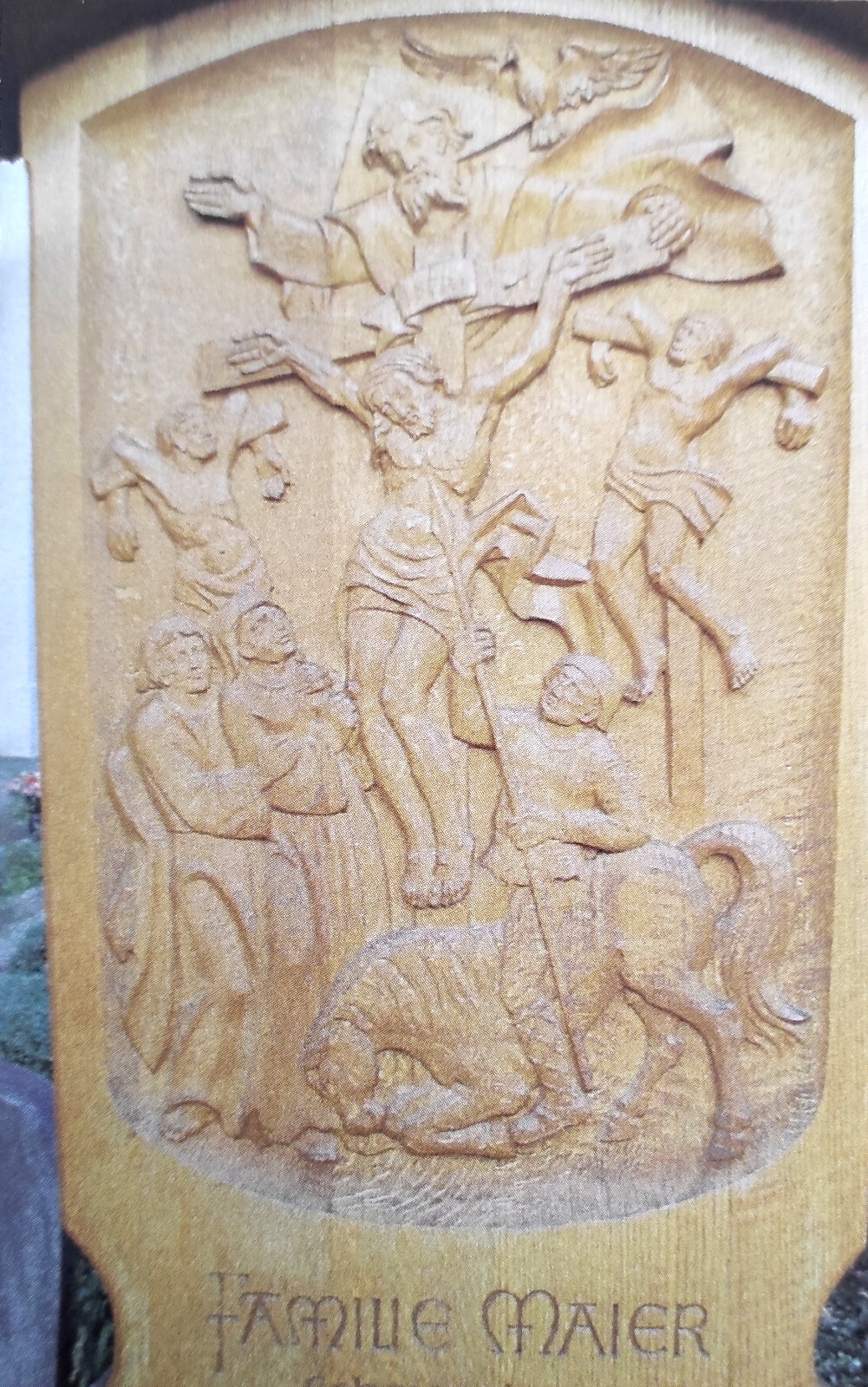 Bild 12 von 12