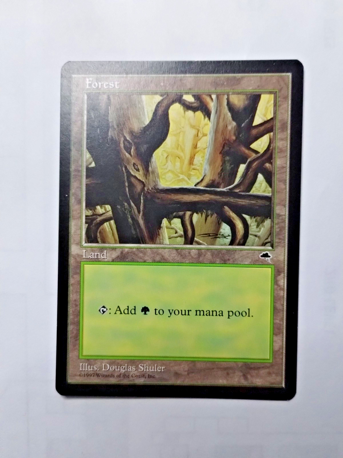 MTG Forest (Ledge) Tempest Regular Land - Bit of Edge Wear - See Pics