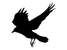 Flying Bird Crow Raven Car Window Door Décor Sticker Witch Halloween Vinyl Decal