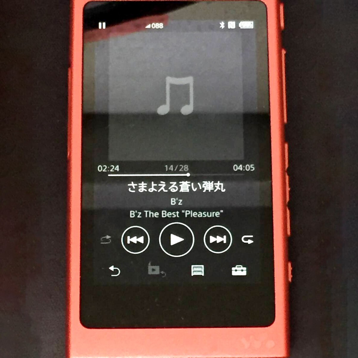 Sony ウォークマン 赤 NWA45 s-l400.jpg