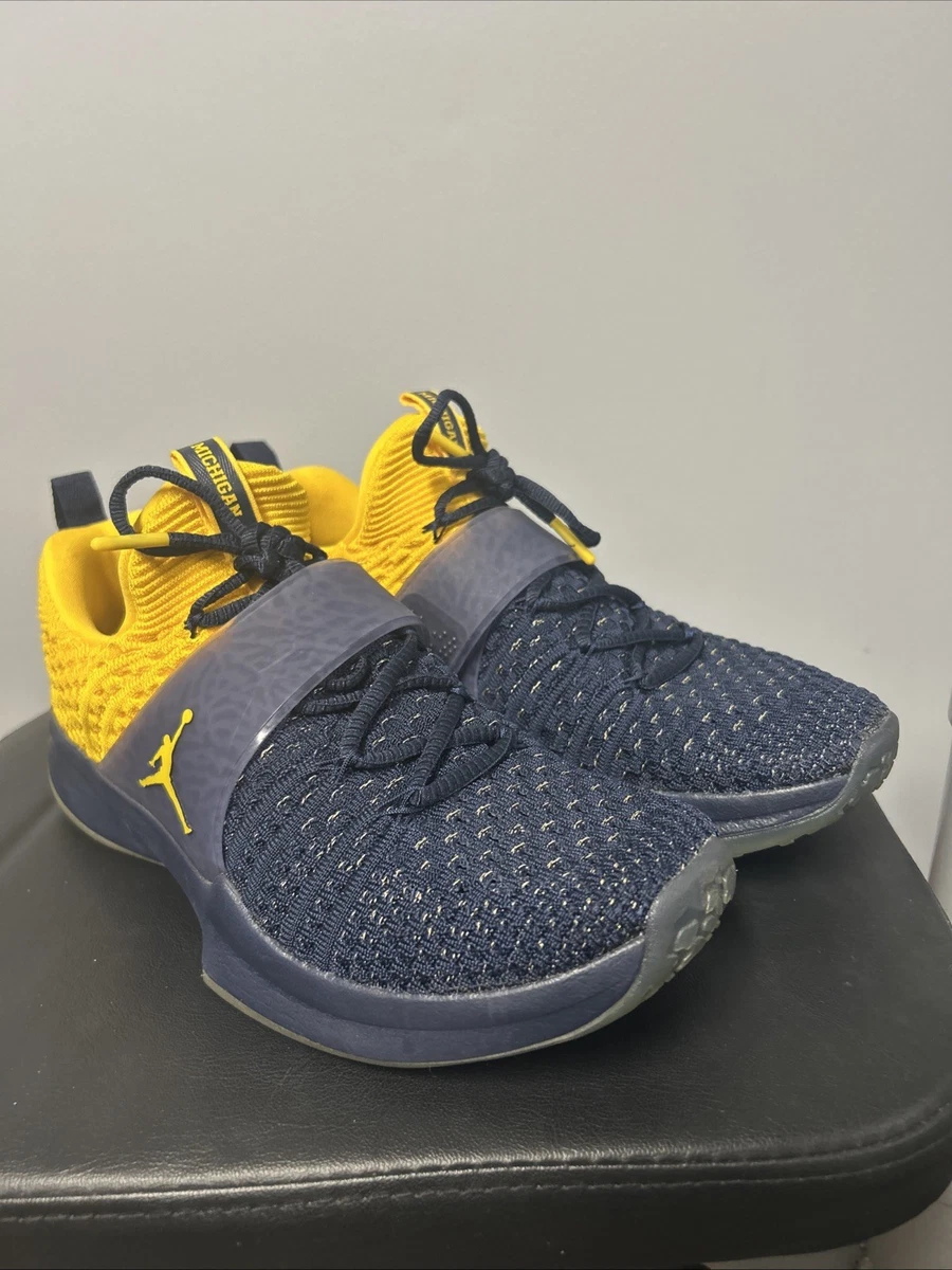 Jordan Trainer 2 Flyknit Michigan | eBay display picture 3