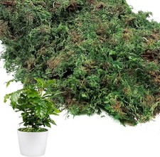 Punching Tools Set - Bookbinding Awl  Cradle for Scrapbooking