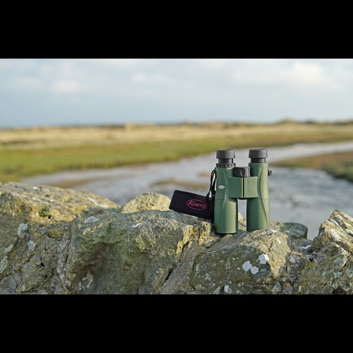 KOWA SV II 8X42 DCF LIGHTWEIGHT BINOCULARS (KWSV2-842) - Picture 10 of 10
