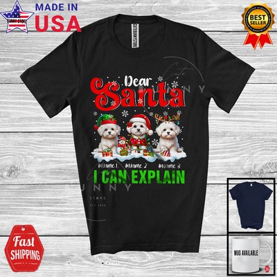 Santa I Can Explain; Merry Christmas Custom Name Three Maltipoos; Snowing Shirt